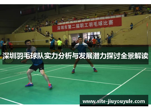 深圳羽毛球队实力分析与发展潜力探讨全景解读