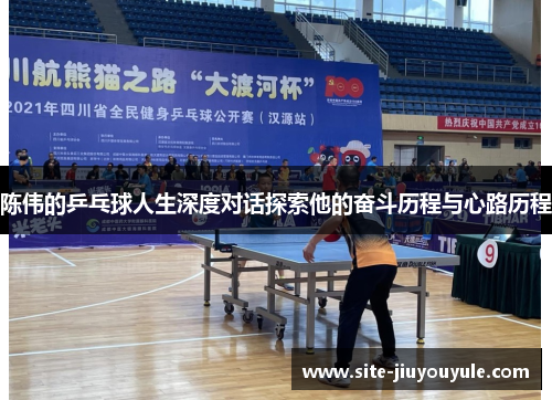 陈伟的乒乓球人生深度对话探索他的奋斗历程与心路历程