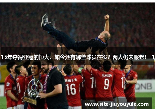 15年夺得亚冠的恒大，如今还有哪些球员在役？两人仍未服老！_1